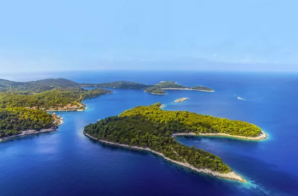 Aerial of a National Park on the island of Mljet and pine forest in Croatia