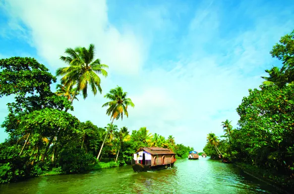 Houseboat cruise through the backwaters, kerala, india. Surrounded by lush vegetation and tall palm trees 