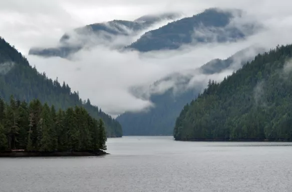 River surrounded by vegetation with mountains covered in misty clouds in Canada