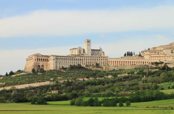 Landscape view of Saint Francis Cathedral surrounded by vegetation in Assisi, Italy.