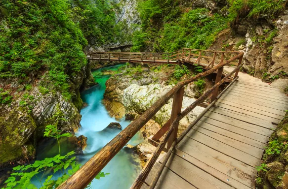 Wooden footpath bridge and green river at the Vintgar Canyon in Slovenia