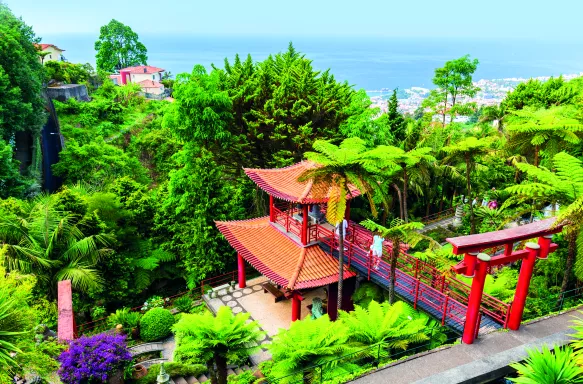 Overlook of Monte Palace Tropical Gardens