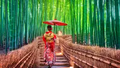 Bamboo Forest. Asian woman wearing japanese traditional kimono at Bamboo Forest in Kyoto, Japan.