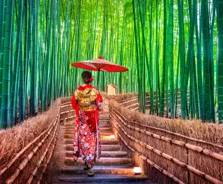 Bamboo Forest. Asian woman wearing japanese traditional kimono at Bamboo Forest in Kyoto, Japan.