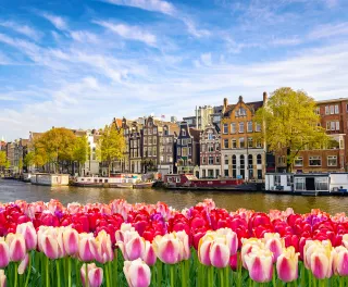 Amsterdam buildings on the canal with a tulip frame