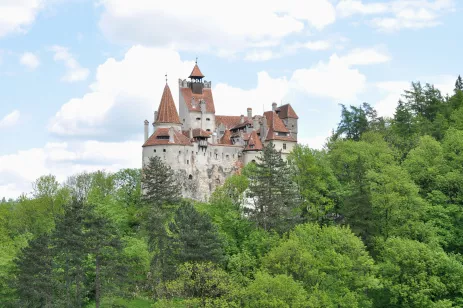 a white turreted castle rising from behind the trees with a red tiled roof